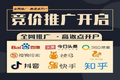 成功SEM推广代运营案例分享